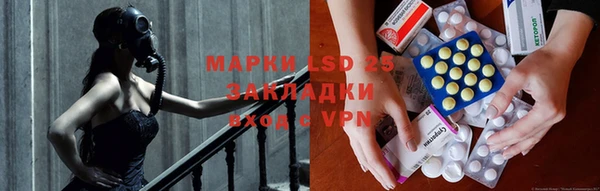 стаф Аркадак