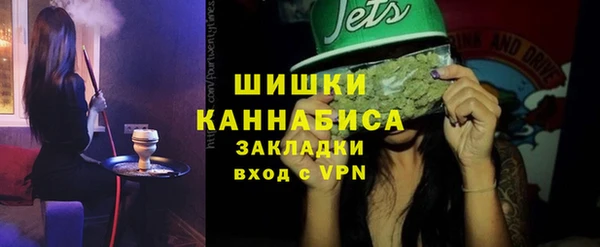 стаф Аркадак