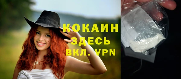 соль ск Арсеньев