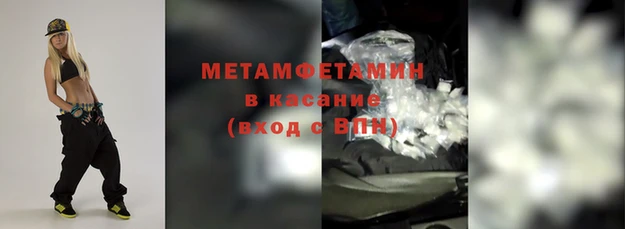 стаф Аркадак