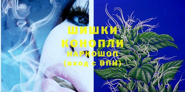стаф Аркадак