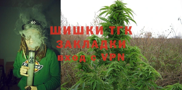 соль ск Арсеньев