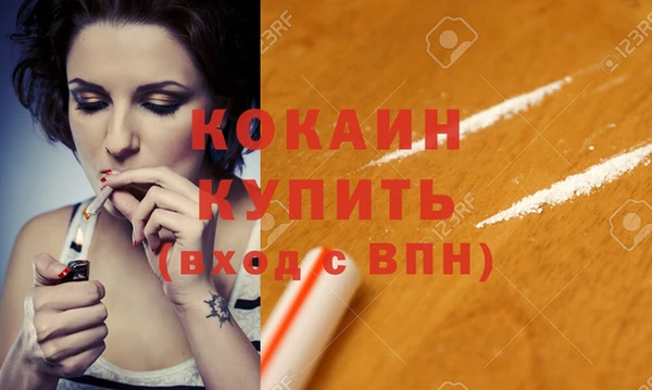 стаф Аркадак